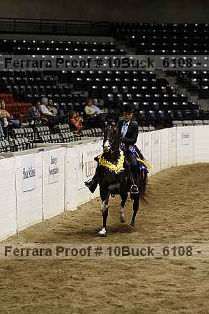 Proof 10buck_6108