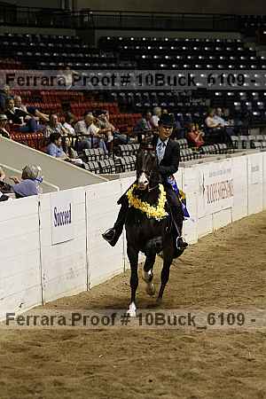 Proof 10buck_6109