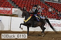 10buck_6110 proof