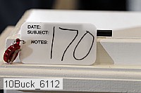 10buck_6112 proof