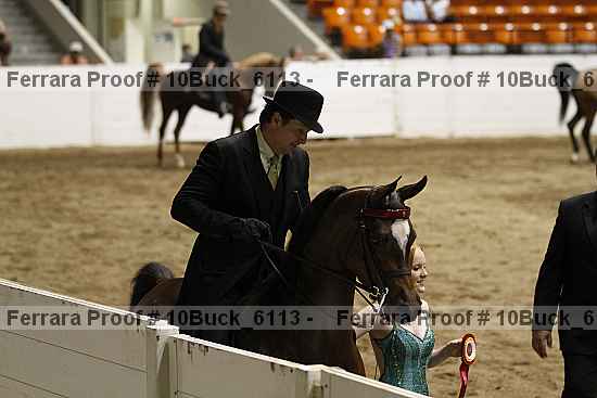 Proof 10buck_6113