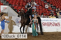 10buck_6114 proof