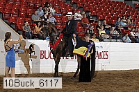 10buck_6117 proof