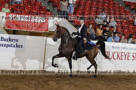 Proof 10buck_6119
