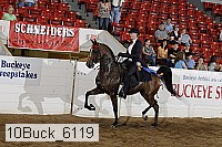 10buck_6119 proof