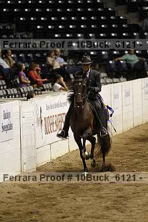 Proof 10buck_6121