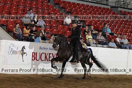 Proof 10buck_6132