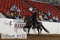 10buck_6132 proof
