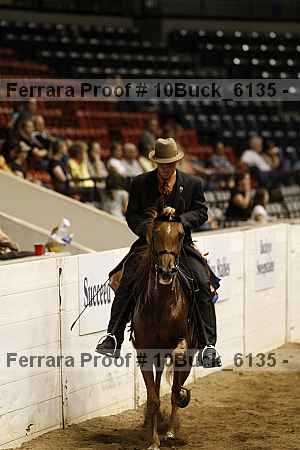 Proof 10buck_6135