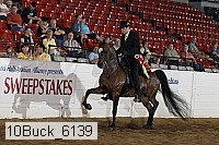 10buck_6139 proof