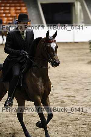 Proof 10buck_6141