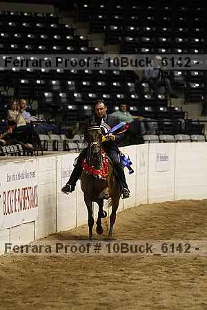 Proof 10buck_6142