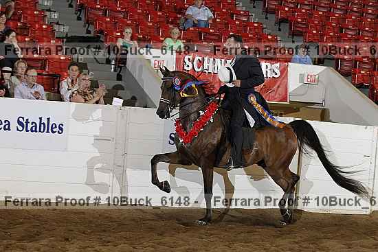 Proof 10buck_6148