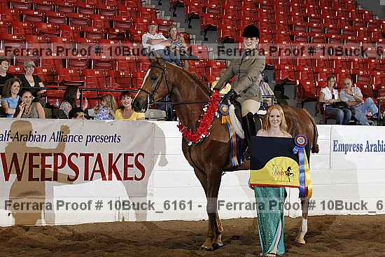 Proof 10buck_6161
