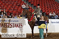 10buck_6161 proof
