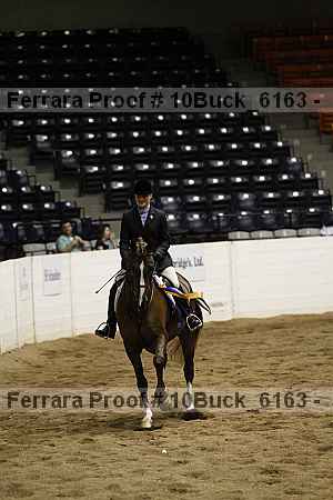 Proof 10buck_6163