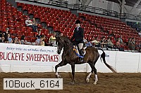 10buck_6164 proof