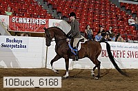 10buck_6168 proof