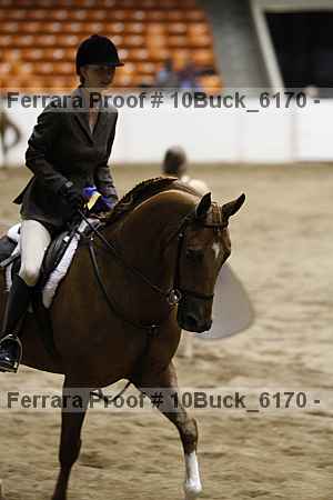 Proof 10buck_6170
