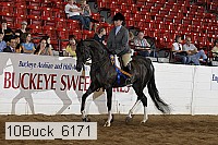 10buck_6171 proof