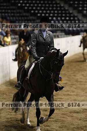 Proof 10buck_6174