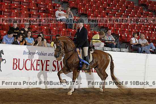 Proof 10buck_6175
