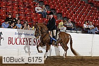 10buck_6175 proof