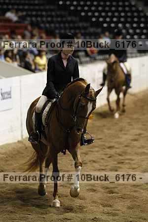 Proof 10buck_6176