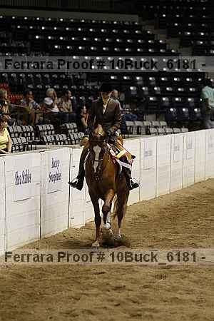Proof 10buck_6181