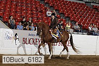 10buck_6182 proof