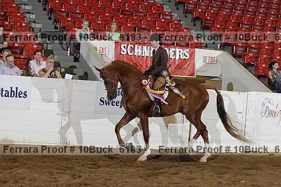 Proof 10buck_6183