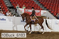 10buck_6183 proof