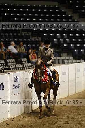 Proof 10buck_6185