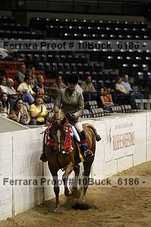 Proof 10buck_6186