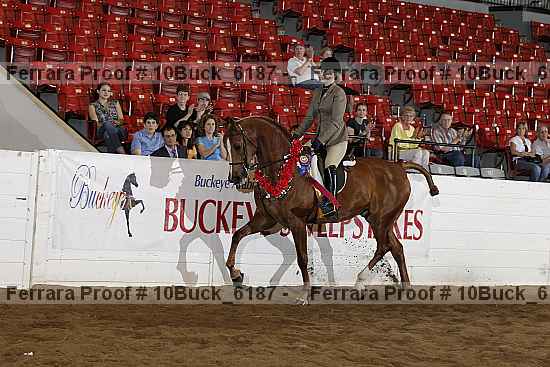 Proof 10buck_6187