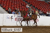10buck_6187 proof