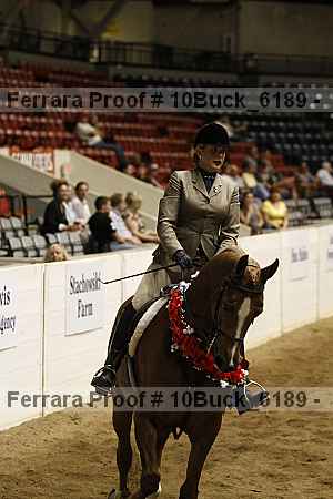 Proof 10buck_6189