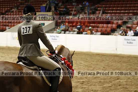 Proof 10buck_6190