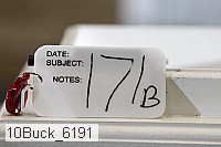 10buck_6191 proof