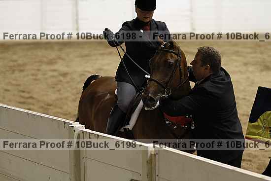 Proof 10buck_6198