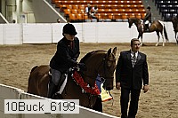 10buck_6199 proof