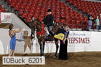 10buck_6201 proof