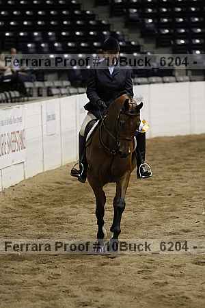 Proof 10buck_6204