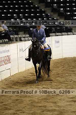 Proof 10buck_6206