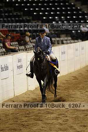 Proof 10buck_6207