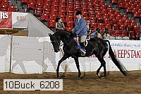 10buck_6208 proof