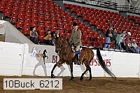 10buck_6212 proof