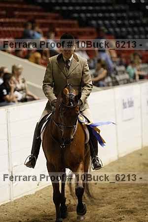 Proof 10buck_6213