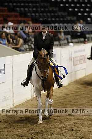 Proof 10buck_6216