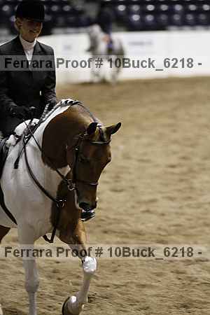 Proof 10buck_6218
